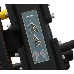 Бицепс Bronze Gym PL-1713