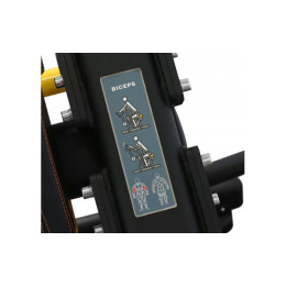 Бицепс Bronze Gym PL-1713