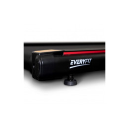 Электрическая беговая дорожка без поручней Everyfit K843