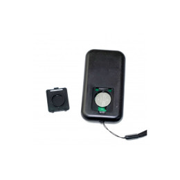 Электрическая беговая дорожка без поручней Everyfit K843