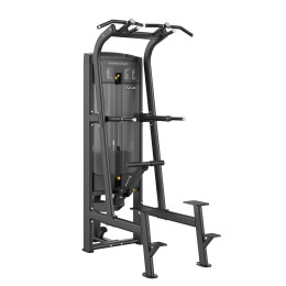 Подтягивание\Отжимание с помощью, стек 117,5кг Smith Fitness RE8008