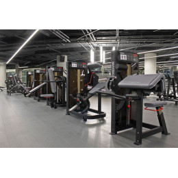 Бицепс сидя Foreman FN-201