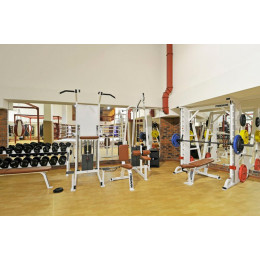 Тяга сверху (вертикальный блок) Foreman FS-301