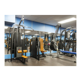 Тяга сверху (вертикальный блок) Foreman FS-301