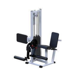 Разгибание ног сидя + сгибание стоя ARMS (стек 100кг) AR041