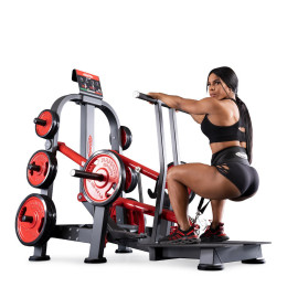 Приседания с поясом (колодец) Panatta 1FW095