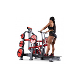 Приседания с поясом (колодец) Panatta 1FW095