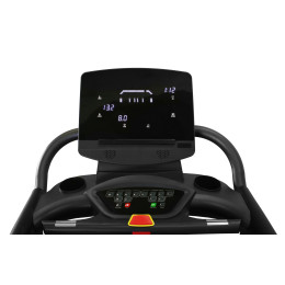 Беговая дорожка Bronze Gym T900M