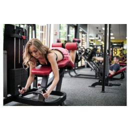 Сгибание ног лежа Foreman FS-103