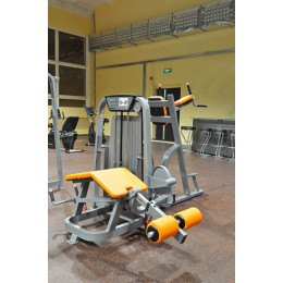 Сгибание ног лежа Foreman FS-103