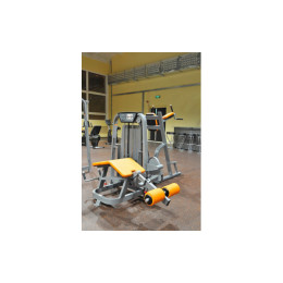 Сгибание ног лежа Foreman FS-103