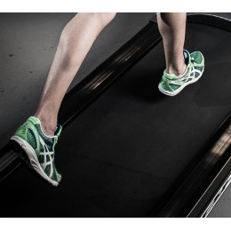 Беговая дорожка Bh Fitness Pioneer R5