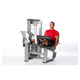 Сгибание ног сидя Inotec NL6