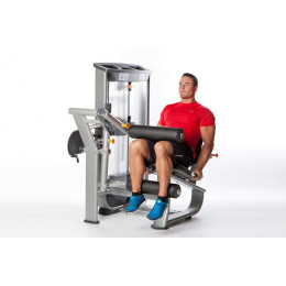 Сгибание ног сидя Inotec NL6