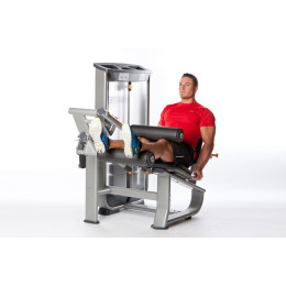 Сгибание ног сидя Inotec NL6