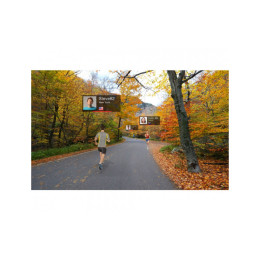 Беговая дорожка Nautilus T628