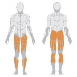 Жим ногами (независимый) Panatta 1FE095