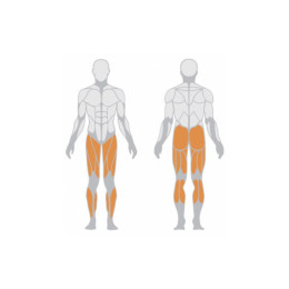 Жим ногами (независимый) Panatta 1FE095