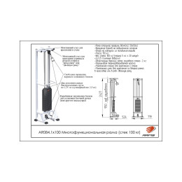 Многофункциональная рама ARMS (стек 100кг) AR084.1х100