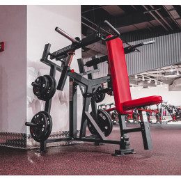 Жим от плеч Foreman FG-610