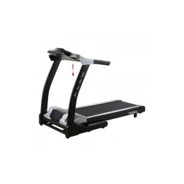 Беговая дорожка DFC Terra T-505