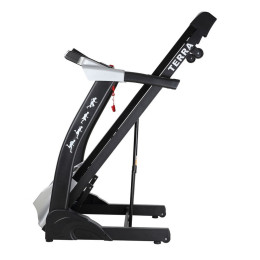 Беговая дорожка DFC Terra T-505