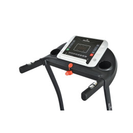 Беговая дорожка Royal Fitness RF-7