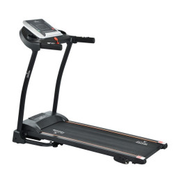 Беговая дорожка Royal Fitness RF-7