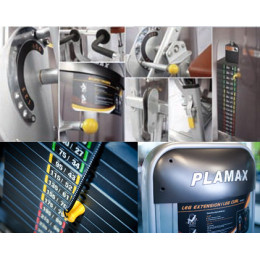 Пресс/разгибание спины Aerofit PL9024