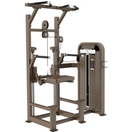 Турник, брусья с противовесом DHZ E5009 (U3009D)