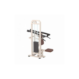 Жим от плеч Iron King KS01