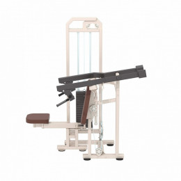 Жим от плеч Iron King KS01