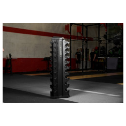 Стойка для гантелей YouSteel 828VDR10