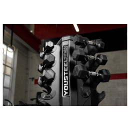 Стойка для гантелей YouSteel 828VDR10