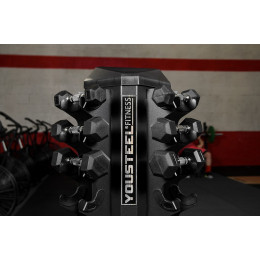 Стойка для гантелей YouSteel 828VDR10