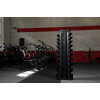 Стойка для гантелей YouSteel 828VDR10