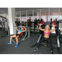 Жим от плеч со сведением с независимыми рычагами Aerofit SL7003