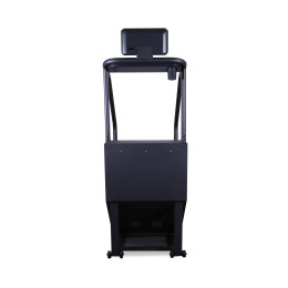 Лестница-эскалатор Bronze Gym C1000XM Pro Turbo