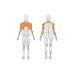 Мультипозиционный жим Panatta 1FE118A