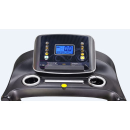 Беговая дорожка Royal Fitness RF-6