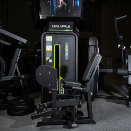 Разведение ног сидя (Abductor) DHZ A-3021