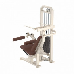 Сгибание ног сидя Iron King KS09