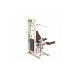 Сгибание ног сидя Iron King KS09