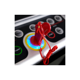 Беговая дорожка Everyfit 74305B