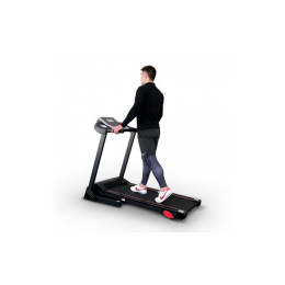 Беговая дорожка Everyfit 74305B