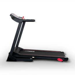 Беговая дорожка Everyfit 74305B