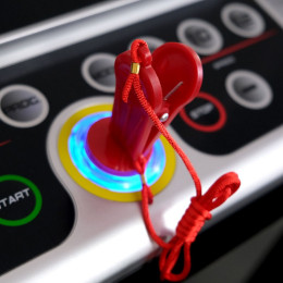 Беговая дорожка Everyfit 74305B