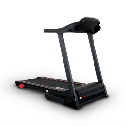 Беговая дорожка Everyfit 74305B