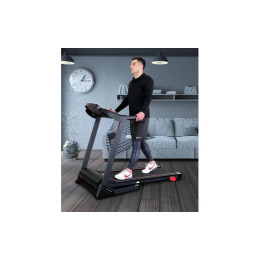 Беговая дорожка Everyfit 74305B