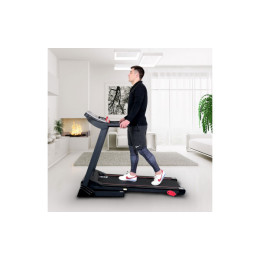 Беговая дорожка Everyfit 74305B